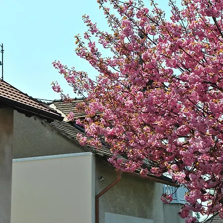 Za Sakurou Apartmán *